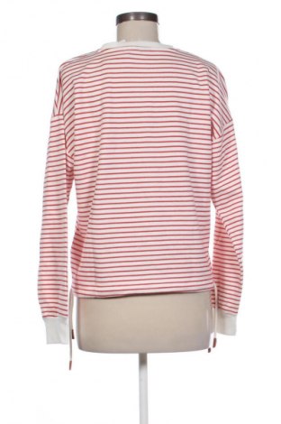 Γυναικεία μπλούζα H.I.S, Μέγεθος M, Χρώμα Πολύχρωμο, Τιμή 22,99 €