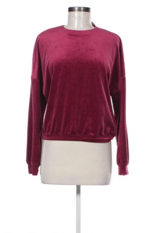 Γυναικεία μπλούζα Hunkemoller, Μέγεθος S, Χρώμα Ρόζ , Τιμή 8,99 €