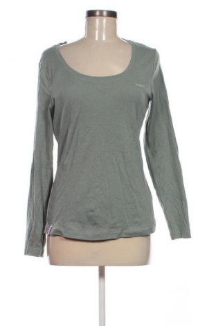 Γυναικεία μπλούζα Kangaroos, Μέγεθος M, Χρώμα Πράσινο, Τιμή 47,99 €