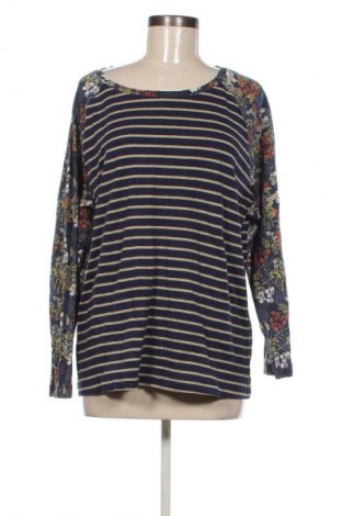 Γυναικεία μπλούζα Kangaroos, Μέγεθος 3XL, Χρώμα Πολύχρωμο, Τιμή 47,99 €