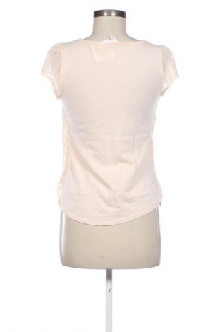 Γυναικεία μπλούζα Lauren Conrad, Μέγεθος S, Χρώμα Πορτοκαλί, Τιμή 11,99 €