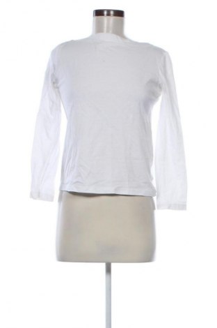 Damen Shirt Mango, Größe M, Farbe Weiß, Preis € 13,81