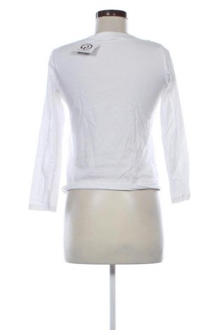 Damen Shirt Mango, Größe M, Farbe Weiß, Preis € 13,81