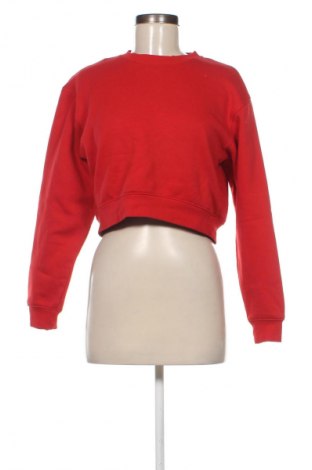 Damen Shirt Stradivarius, Größe S, Farbe Rot, Preis € 19,95