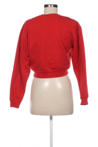 Damen Shirt Stradivarius, Größe S, Farbe Rot, Preis € 19,95
