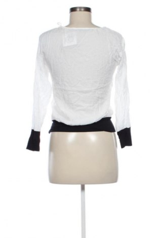 Damen Shirt Zara, Größe XS, Farbe Mehrfarbig, Preis € 11,99