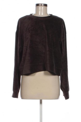 Damen Shirt Zara, Größe L, Farbe Braun, Preis € 13,99