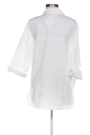 Damska koszula Alba Moda, Rozmiar XL, Kolor Kolorowy, Cena 71,99 zł