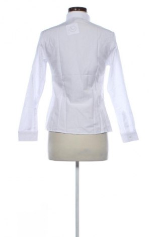 Dámska košeľa  Andrews, Veľkosť M, Farba Biela, Cena  20,97 €