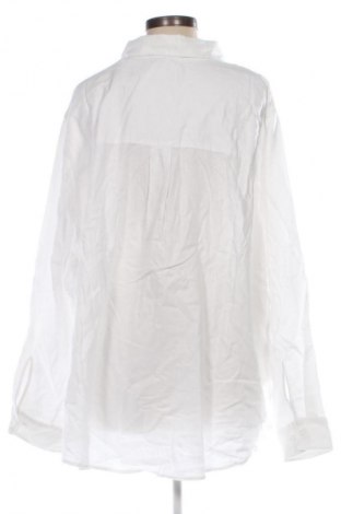 Damenbluse Base Level, Größe 4XL, Farbe Weiß, Preis 61,99 €
