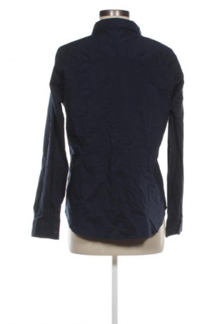 Damenbluse Bel&Bo, Größe XL, Farbe Blau, Preis 11,99 €