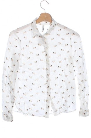 Damenbluse Bershka, Größe XS, Farbe Mehrfarbig, Preis 6,99 €