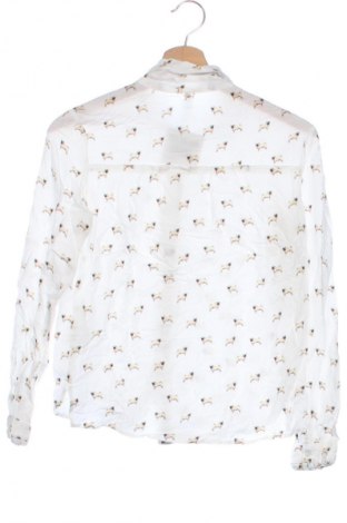 Damenbluse Bershka, Größe XS, Farbe Mehrfarbig, Preis 6,99 €