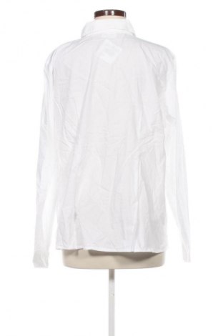 Damenbluse Bpc Bonprix Collection, Größe XL, Farbe Weiß, Preis 12,99 €