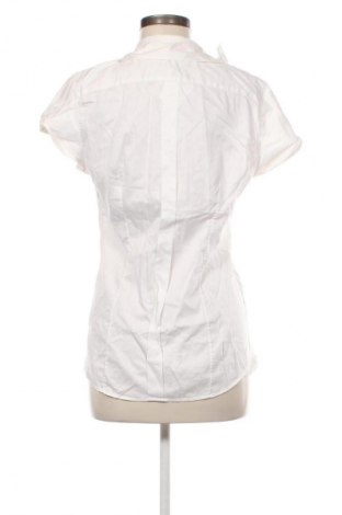 Damenbluse Caliban, Größe XL, Farbe Weiß, Preis € 24,49