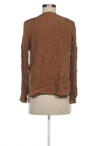 Dámska košeľa  DAZY, Veľkosť L, Farba Hnedá, Cena  7,95 €