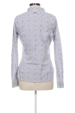 Γυναικείο πουκάμισο Kangaroos, Μέγεθος M, Χρώμα Πολύχρωμο, Τιμή 20,99 €