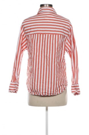 Damenbluse Mango, Größe M, Farbe Mehrfarbig, Preis € 12,99