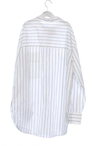 Damenbluse Massimo Dutti, Größe XS, Farbe Mehrfarbig, Preis € 33,70