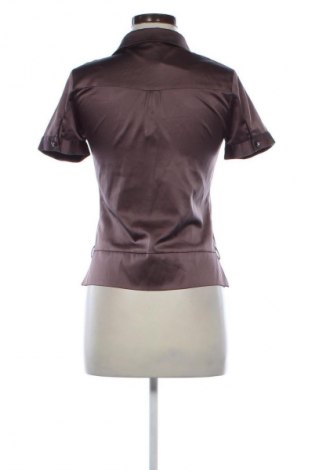 Damska koszula Motivi, Rozmiar S, Kolor Brązowy, Cena 94,25 zł