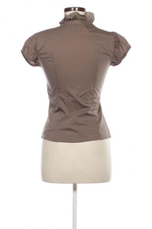 Damska koszula Piazza Italia, Rozmiar M, Kolor Brązowy, Cena 37,99 zł