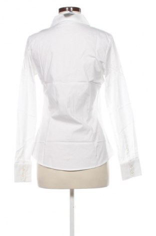 Damenbluse Premier, Größe S, Farbe Weiß, Preis € 8,99