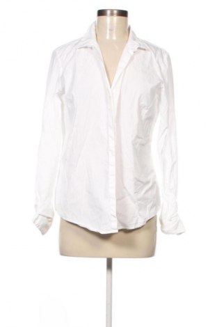 Damenbluse Van Laack, Größe L, Farbe Weiß, Preis 42,00 €