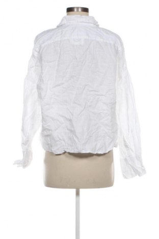 Damenbluse Zara, Größe XL, Farbe Weiß, Preis € 20,99