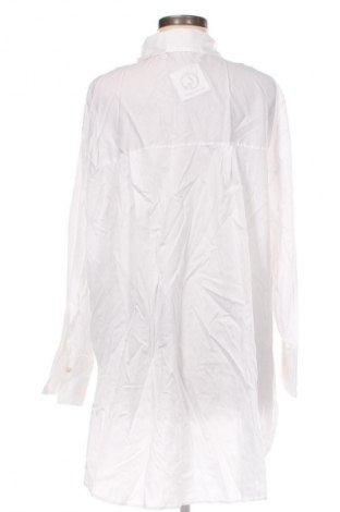 Damenbluse Zara, Größe XL, Farbe Weiß, Preis 13,80 €