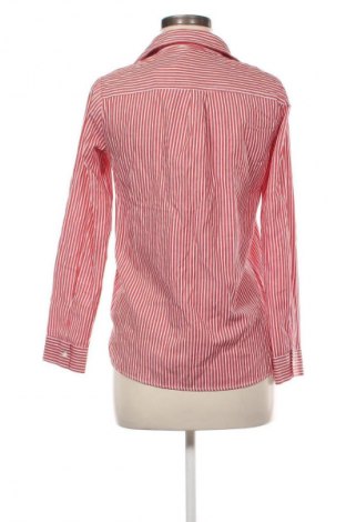 Damenbluse Zara, Größe S, Farbe Mehrfarbig, Preis € 13,80