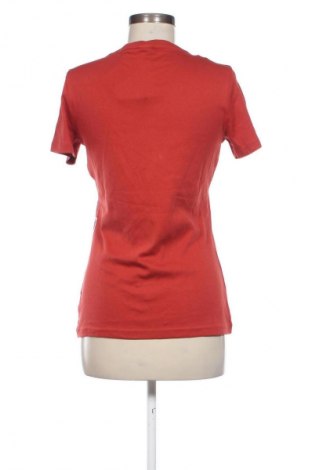 Damen T-Shirt Kangaroos, Größe M, Farbe Mehrfarbig, Preis € 20,99