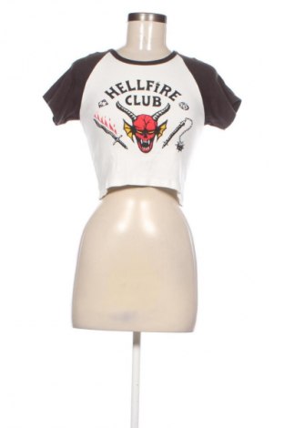 Damen T-Shirt Pull&Bear, Größe M, Farbe Mehrfarbig, Preis € 5,99