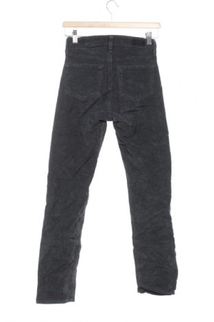 Damen Cordhose Adriano Goldschmied, Größe XXS, Farbe Grau, Preis € 22,99