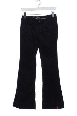 Damskie sztruksy Esprit, Rozmiar XS, Kolor Niebieski, Cena 112,36 zł