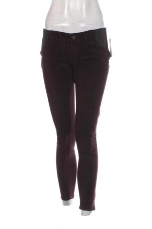 Pantaloni de velvet de femei Isabel, Mărime L, Culoare Maro, Preț 70,99 Lei