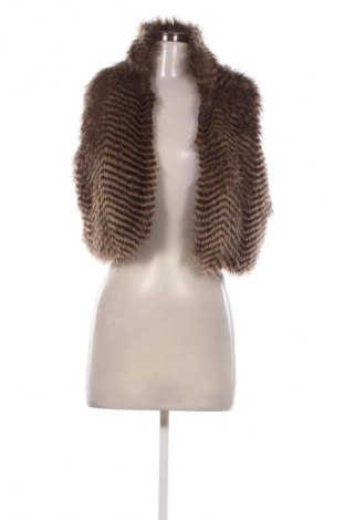 Dámska vesta  Clockhouse, Veľkosť L, Farba Viacfarebná, Cena  19,95 €