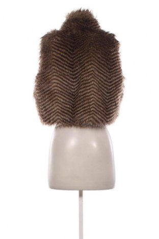 Dámska vesta  Clockhouse, Veľkosť L, Farba Viacfarebná, Cena  19,95 €