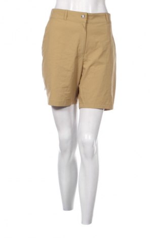 Damen Shorts Icepeak, Größe L, Farbe Beige, Preis 16,99 €
