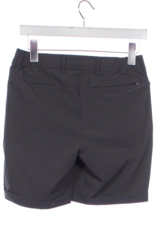 Дамски къс панталон Palomino, Размер XS, Цвят Сив, Цена 31,99 лв.