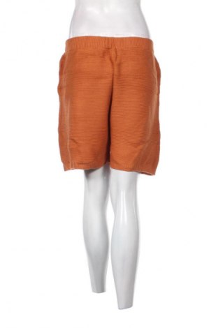 Dámske kraťasy  SHEIN, Veľkosť 3XL, Farba Hnedá, Cena  9,95 €