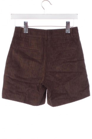 Damen Shorts United Colors Of Benetton, Größe XS, Farbe Braun, Preis € 11,99
