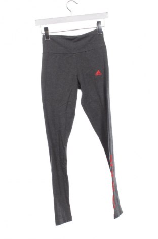Γυναικείο κολάν Adidas, Μέγεθος XS, Χρώμα Γκρί, Τιμή 17,39 €