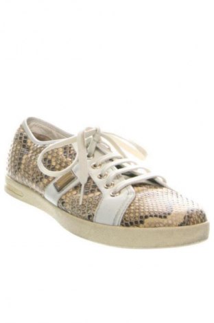 Dámske topánky  Dolce & Gabbana, Veľkosť 36, Farba Viacfarebná, Cena  42,81 €