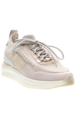 Damenschuhe Eva Longoria, Größe 37, Farbe Aschrosa, Preis 64,92 €