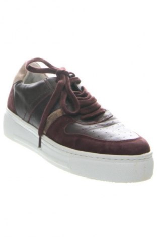 Damenschuhe Hotter, Größe 38, Farbe Rot, Preis 48,99 €