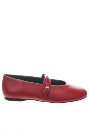 Damenschuhe Steve Madden, Größe 37, Farbe Rot, Preis 112,99 €