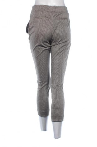 Damenhose Cinque, Größe M, Farbe Mehrfarbig, Preis 16,99 €