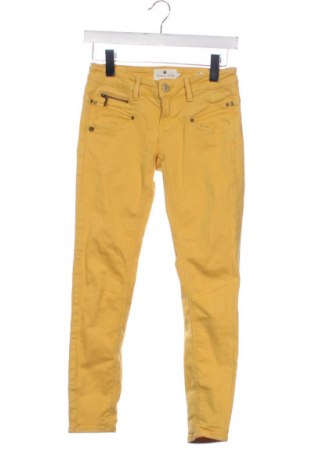 Damskie spodnie Freeman T. Porter, Rozmiar XS, Kolor Żółty, Cena 143,00 zł