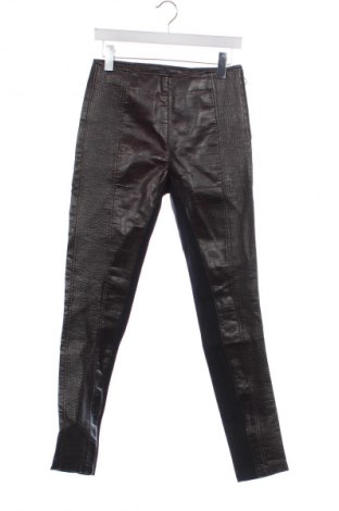 Damskie spodnie Pinko, Rozmiar XS, Kolor Kolorowy, Cena 218,99 zł