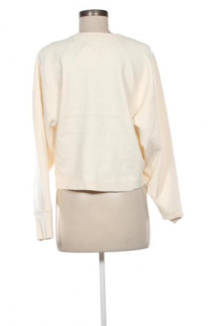 Dámský svetr Massimo Dutti, Velikost L, Barva Krémová, Cena  785,00 Kč